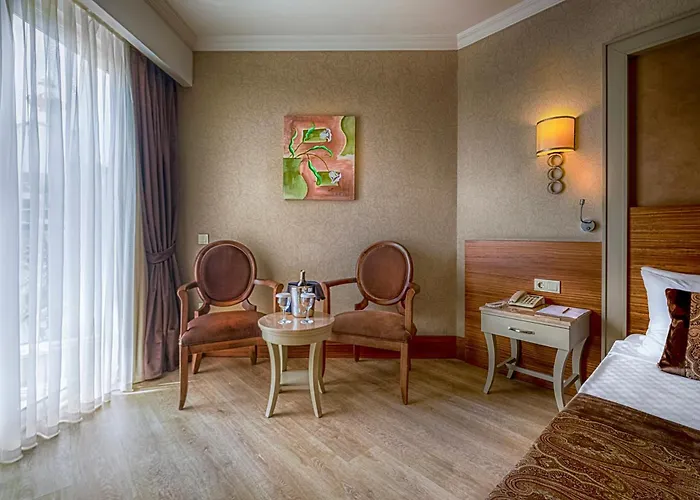 Well Palace 5* Sidé