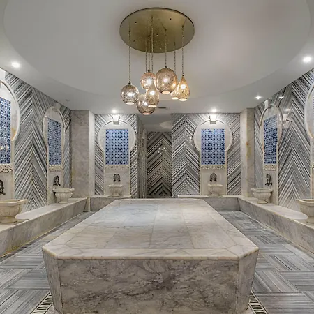 Well Palace Hotell 5*