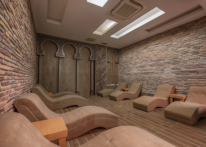 Hotell Well Palace 5*